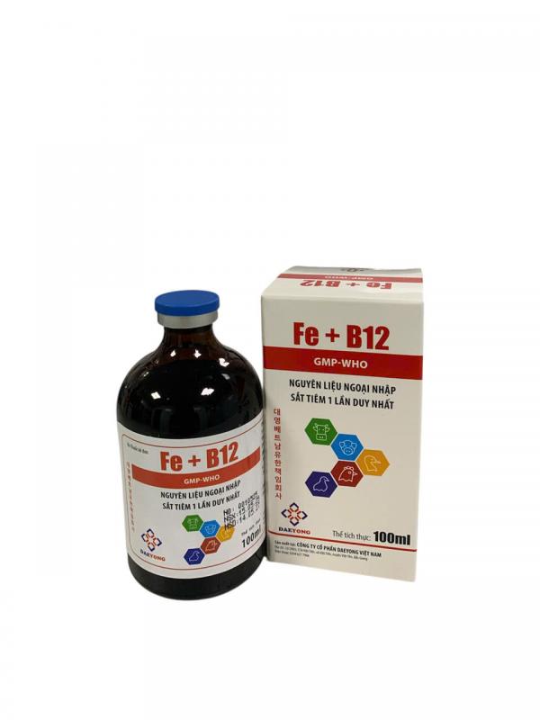 Fe + B12